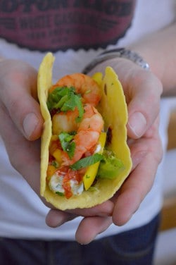 Mais-Tacos mit Shrimps und Avocado Mais-Tacos mit Shrimps und Avocado