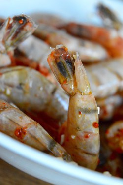 Shrimps für Mais-Tacos